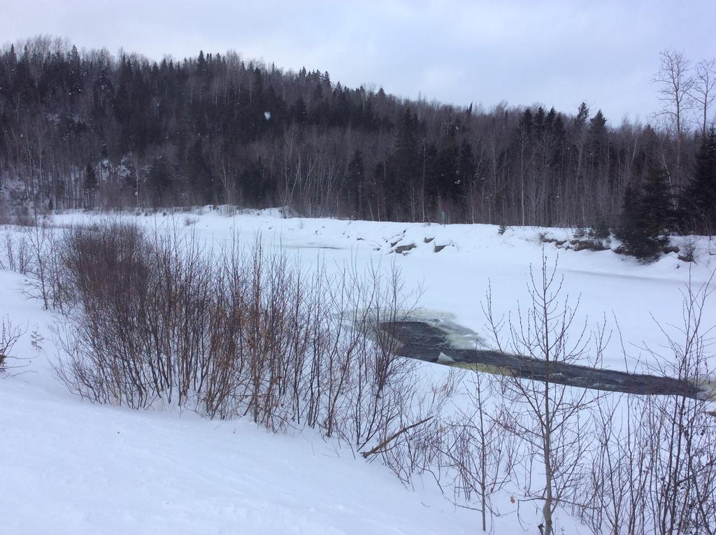 Camping Le 4 Chemins LʼAnse-Saint-Jean Kültér fotó